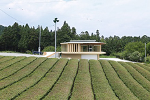 �������@