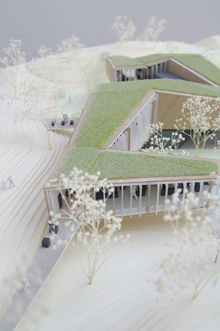 T�s���R�ώ@�̐X